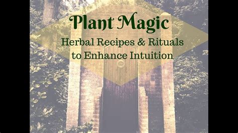 The Miraculous Healing Properties of Magidal Herbs: Ancient Wisdom for Modern Times